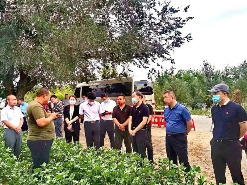 朱保成：夯实耕地和种子两大根基 加快建设农业强国